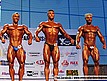 Kulturystyka juniorów powyżej 75kg