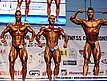 Finały - Kulturystyka juniorów powyżej 75kg