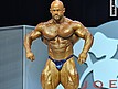 Mr.Olympia 2009 - Finał - Programy dowolne