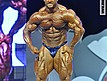 Mr.Olympia 2009 - Finał - Programy dowolne