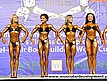 Eliminacje - Fitness sylwetkowe kobiet do 163 cm