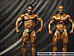 Prejudging - Kulturystyka mężczyzn do 90kg