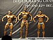 Prejudging - Kulturystyka mężczyzn powyżej 90kg