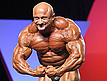 Mr Olympia 2010 - Finał