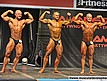 Kulturystyka mężczyzn do 85kg