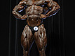 Aronold Classic 2012 - Prejudging