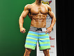 Prejudging - Mens physique