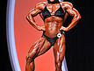 Ms. Olympia - kwalifikacje