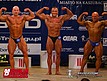 Bytów 2015 - kulturystyka mężczyzn do 90 kg runda 2