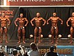 Kulturystyka mężczyzn do 85kg - runda 2