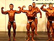 Kulturystyka juniorów powyżej 75kg